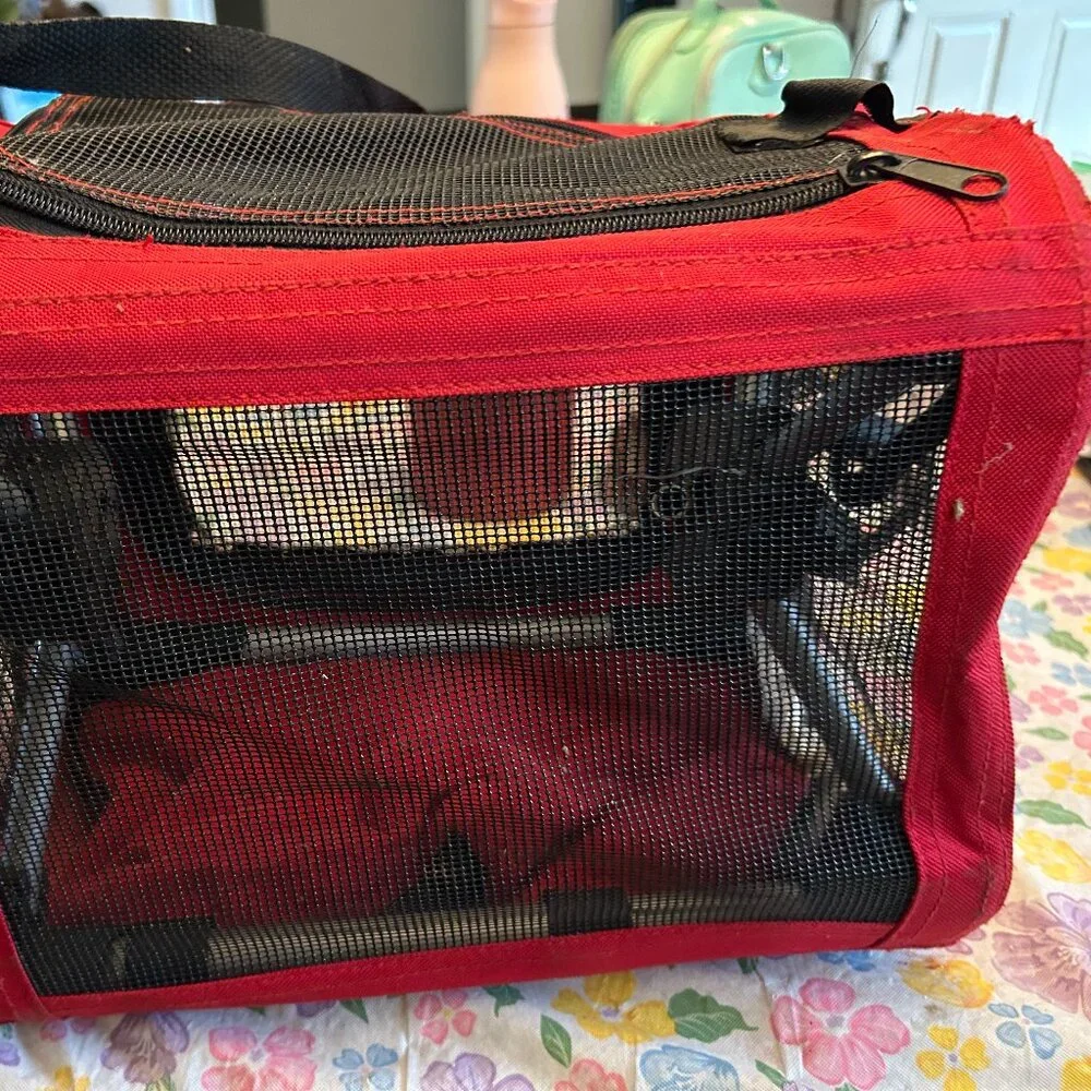 Canvas & Mesh Small Pet Carrier